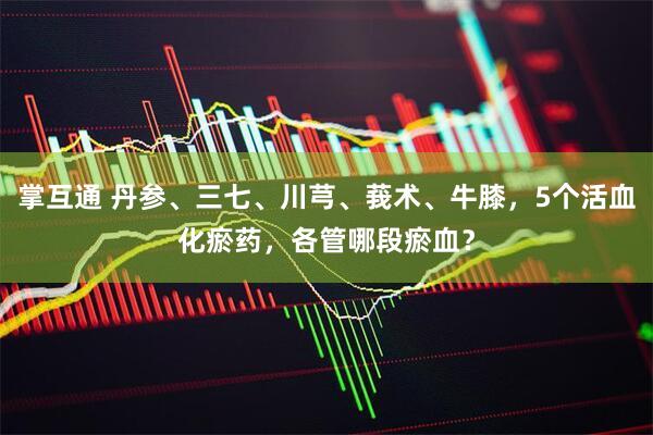 掌互通 丹参、三七、川芎、莪术、牛膝，5个活血化瘀药，各管哪段瘀血？