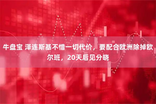 牛盘宝 泽连斯基不惜一切代价，要配合欧洲除掉欧尔班，20天后见分晓