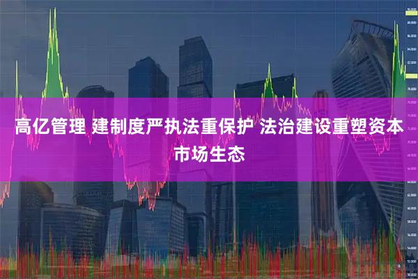 高亿管理 建制度严执法重保护 法治建设重塑资本市场生态
