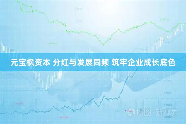 元宝枫资本 分红与发展同频 筑牢企业成长底色