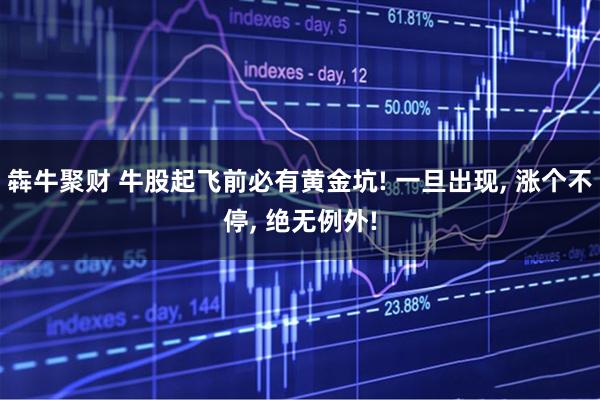 犇牛聚财 牛股起飞前必有黄金坑! 一旦出现, 涨个不停, 绝无例外!