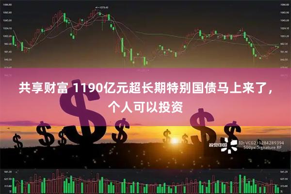 共享财富 1190亿元超长期特别国债马上来了，个人可以投资