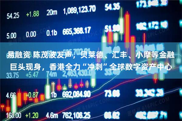 易融资 陈茂波发声，贝莱德、汇丰、小摩等金融巨头现身，香港全力“冲刺”全球数字资产中心