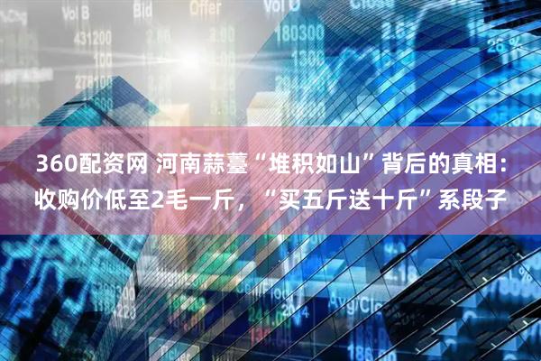 360配资网 河南蒜薹“堆积如山”背后的真相：收购价低至2毛一斤，“买五斤送十斤”系段子