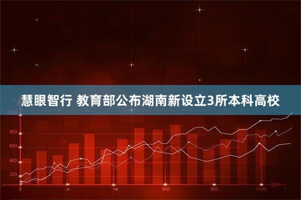 慧眼智行 教育部公布湖南新设立3所本科高校