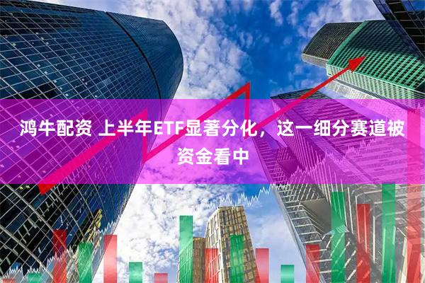 鸿牛配资 上半年ETF显著分化，这一细分赛道被资金看中
