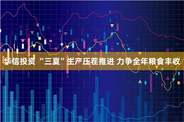华信投资 “三夏”生产压茬推进 力争全年粮食丰收