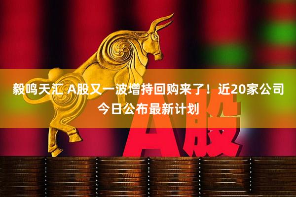毅鸣天汇 A股又一波增持回购来了！近20家公司今日公布最新计划